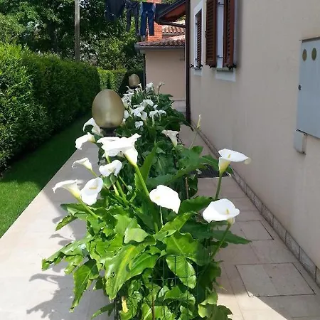 Ulika * Porec